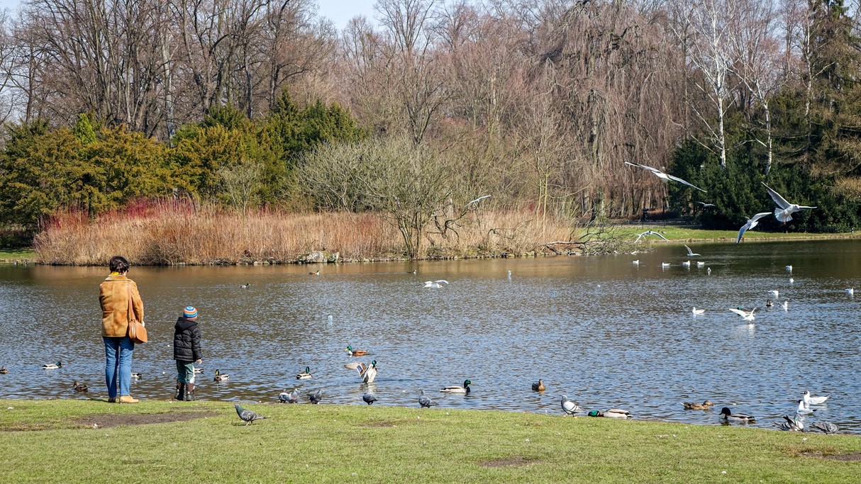 Powiewy wiosny - zdjęcie 22