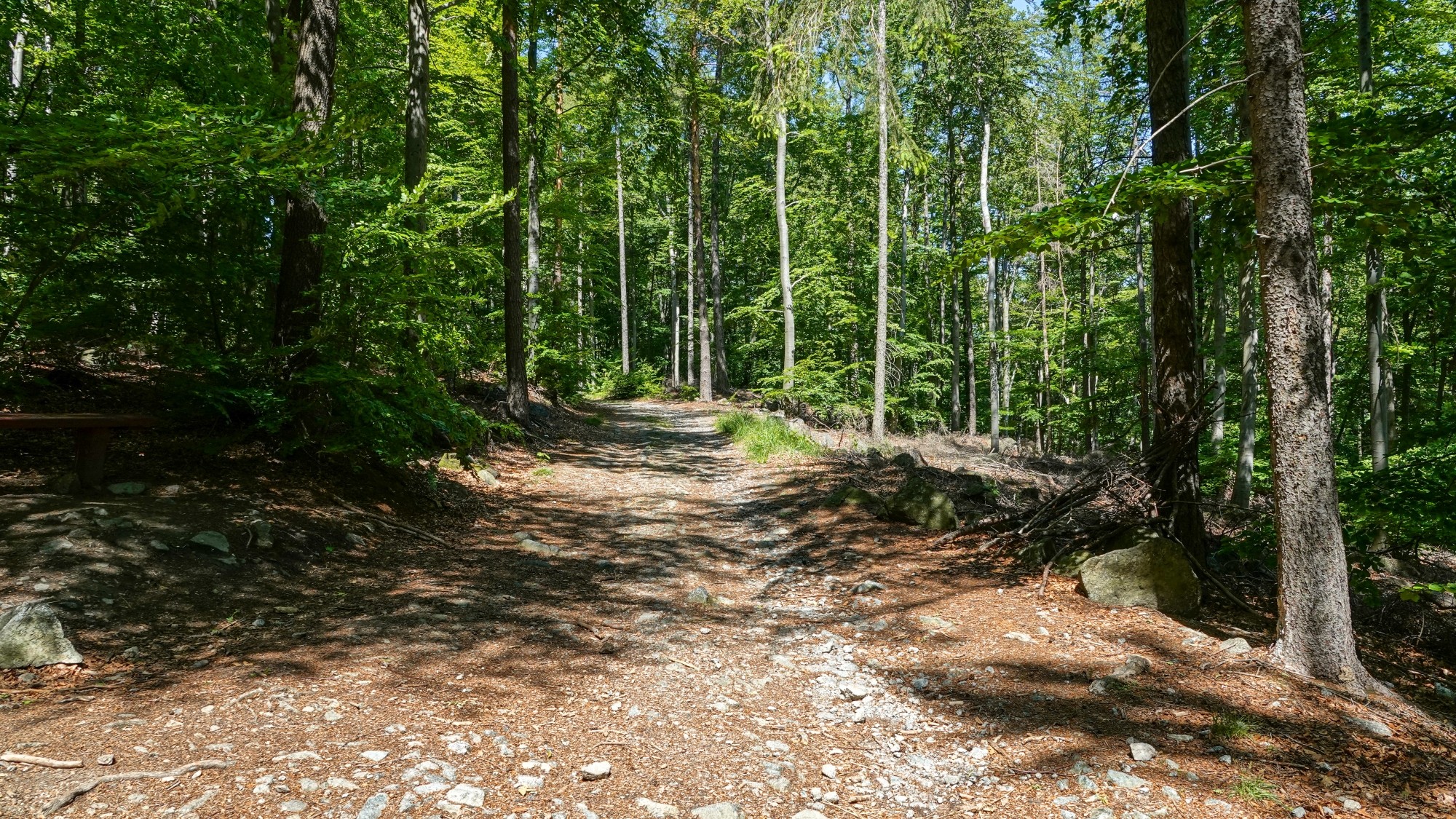 Uroki zielonej pory roku - zdjęcie 72
