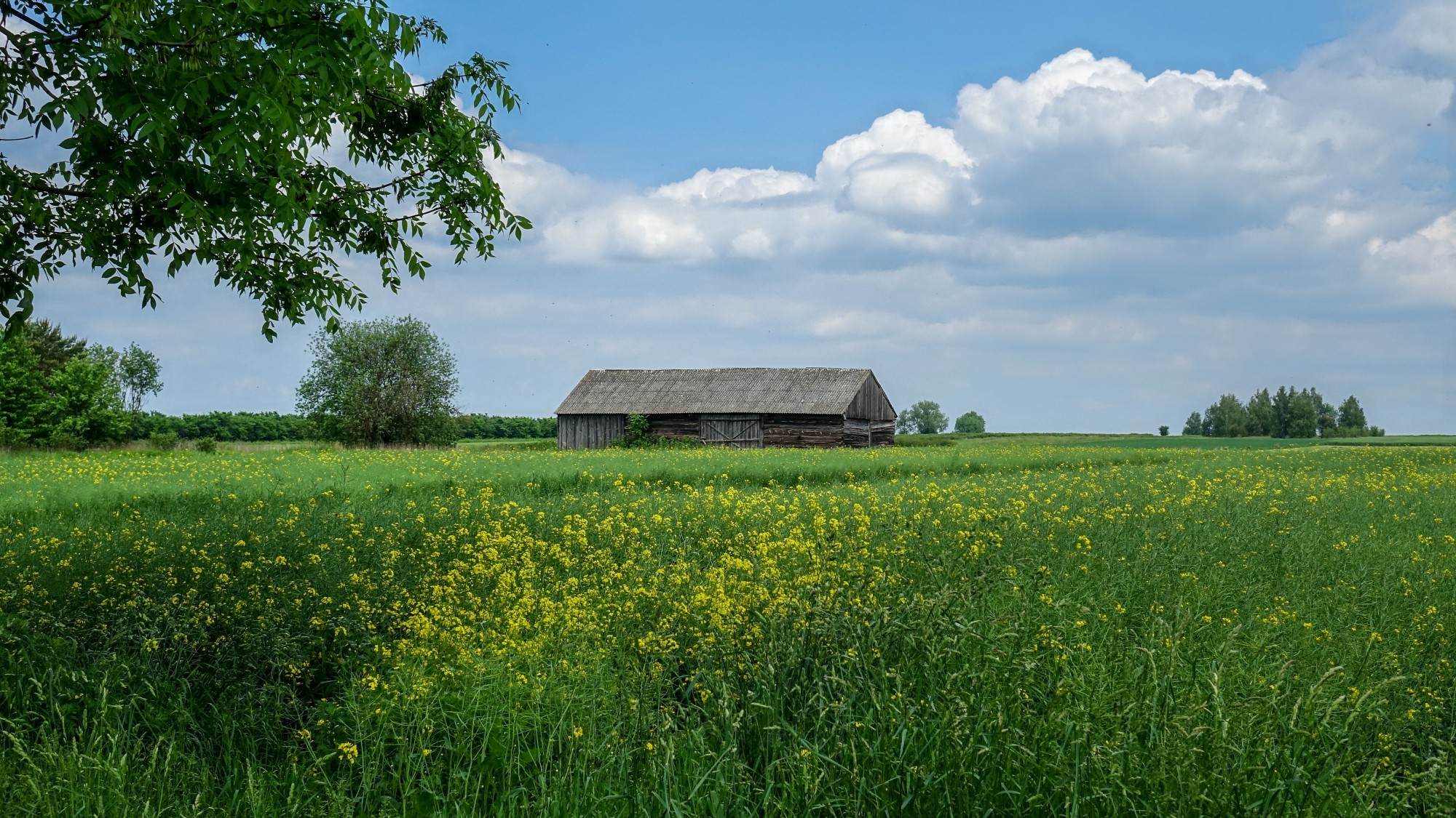 Polskie krajobrazy w 2019 roku - zdjęcie 43