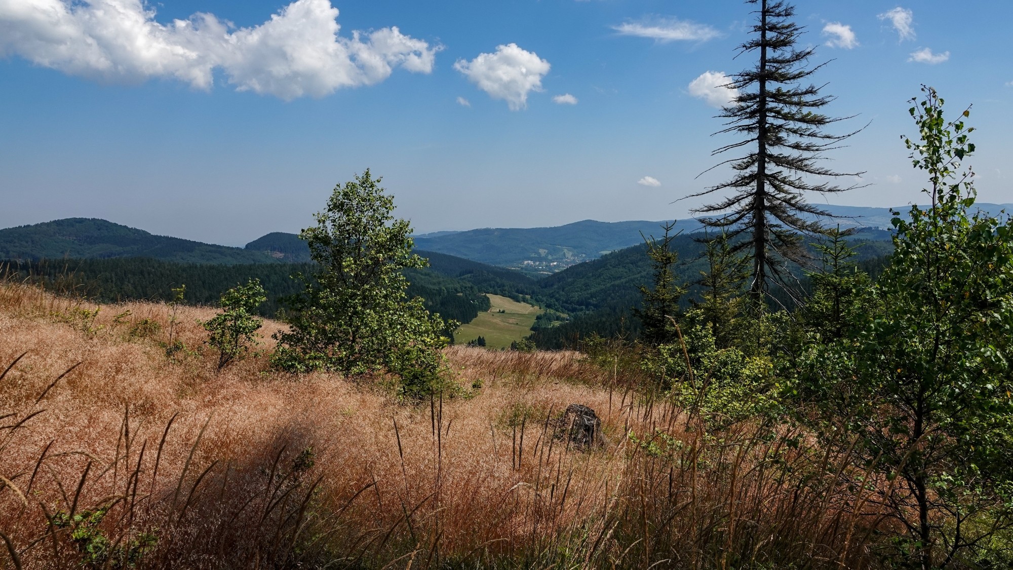 Na pożegnanie lata - zdjęcie 43