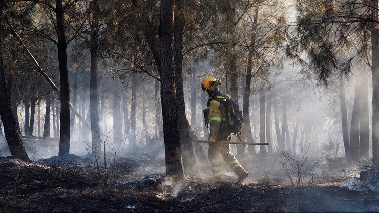 Pożary w Hiszpanii. Z żywiołem walczy 3 tys. strażaków