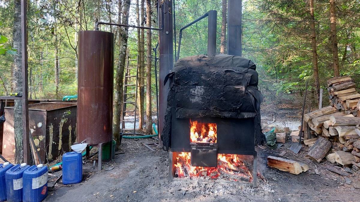 Służby zaskoczyły 29-latka w lesie. Mężczyzna złapany na gorącym uczynku