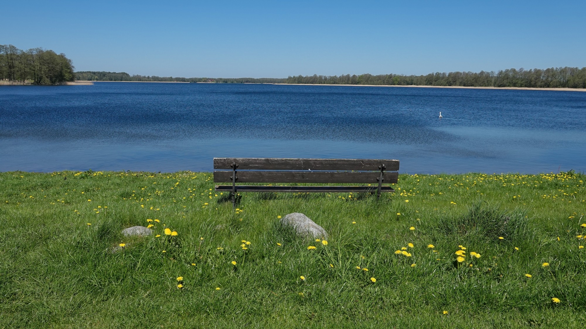 W maju jak w raju - zdjęcie 13