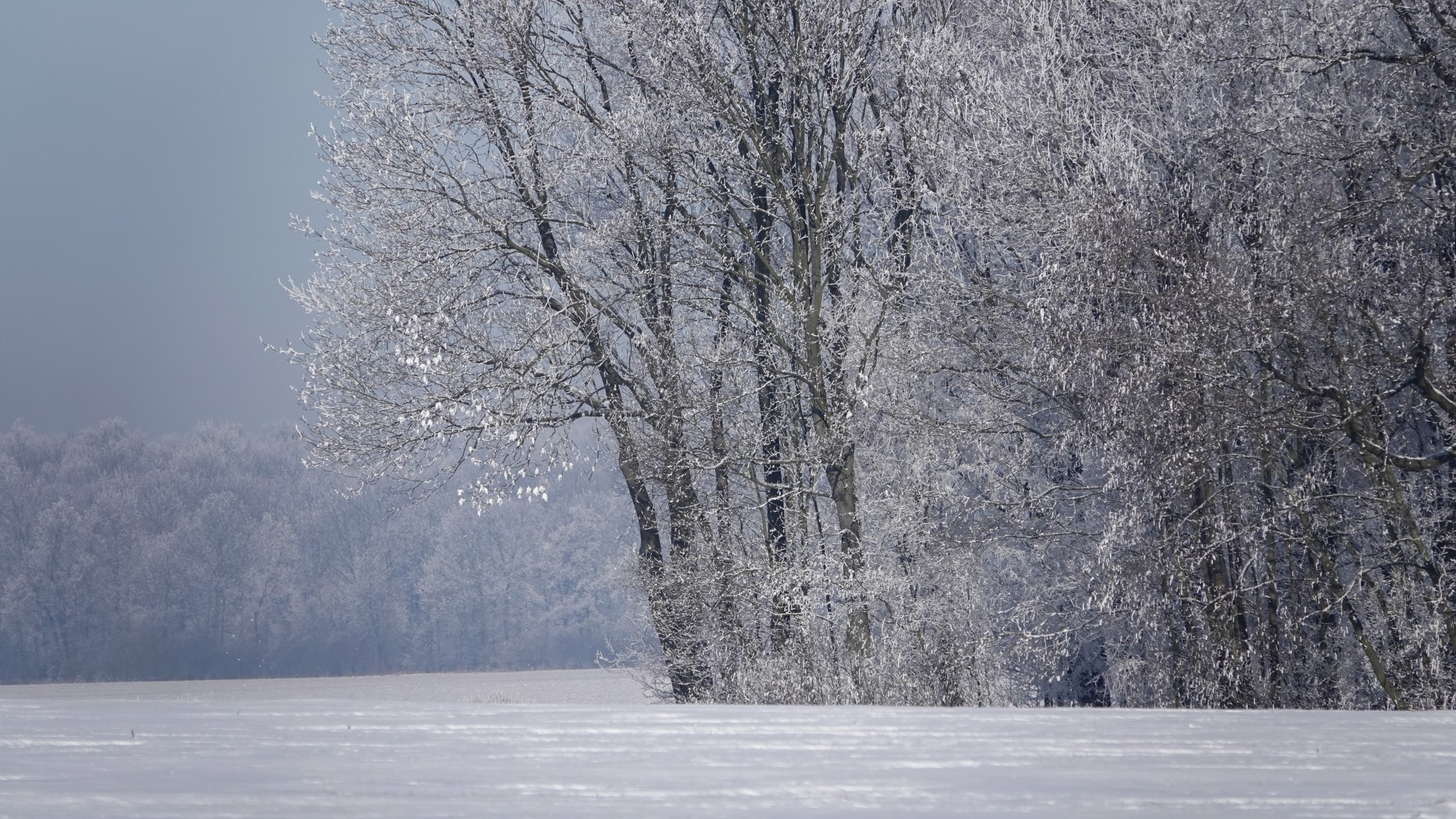 Kraina Narnii - zdjęcie 22