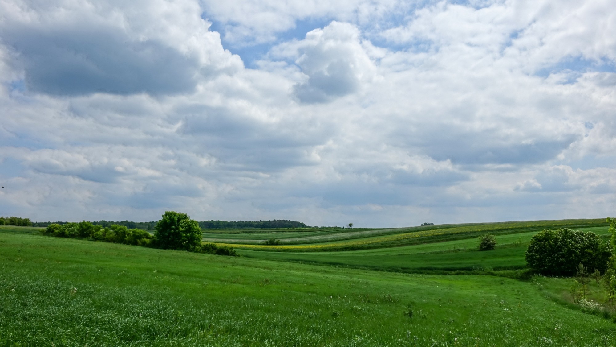 Maj w obiektywie - zdjęcie 44