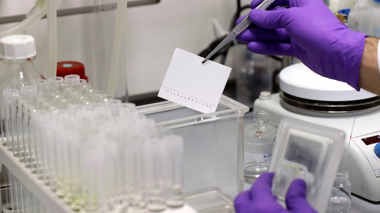 Firma udostępnia szpitalom testy wykrywające koronawirusa. 1000 w ciągu doby