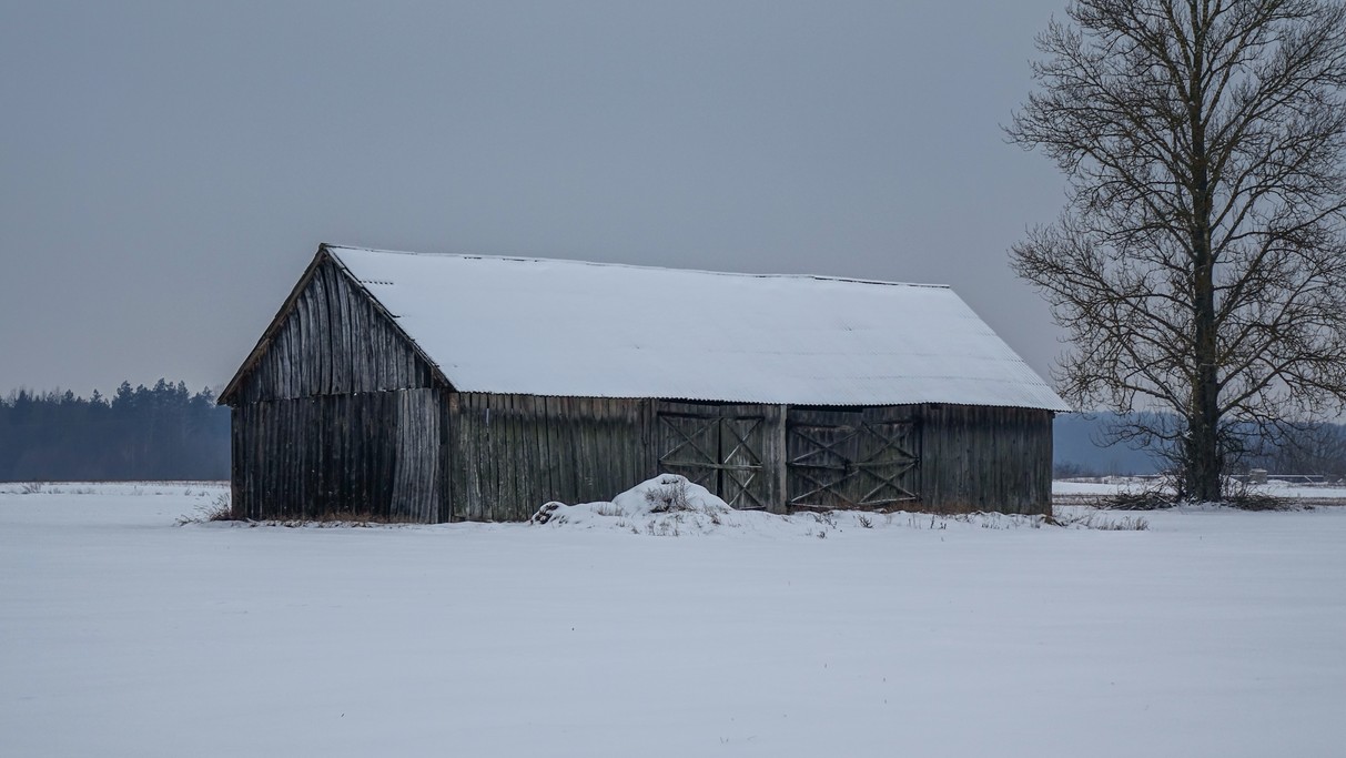 Styczeń w obiektywie - zdjęcie 33