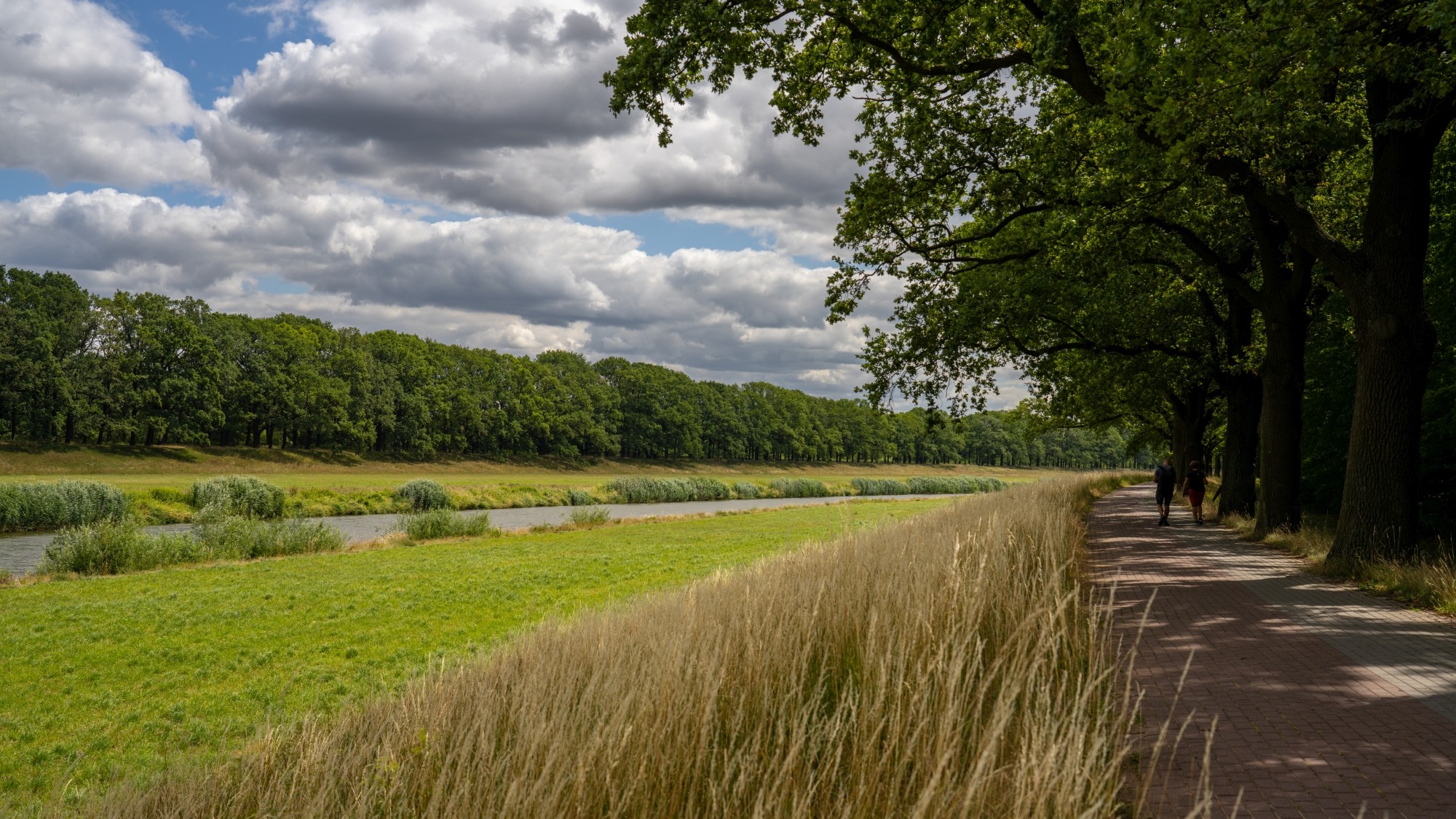 Kolory lata - zdjęcie 63
