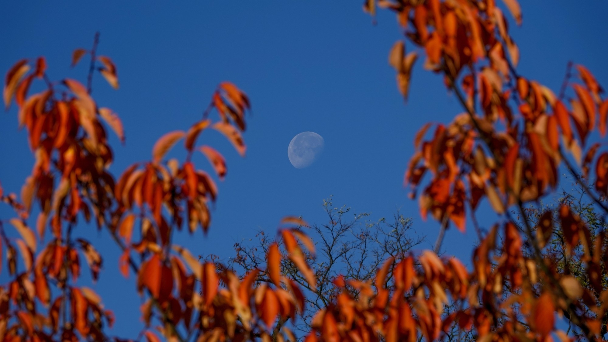 100 najpiękniejszych zdjęć 2021 roku - zdjęcie 8