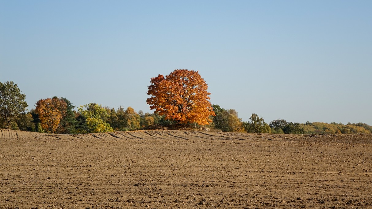 Podróż przez jesienną Polskę - zdjęcie 55
