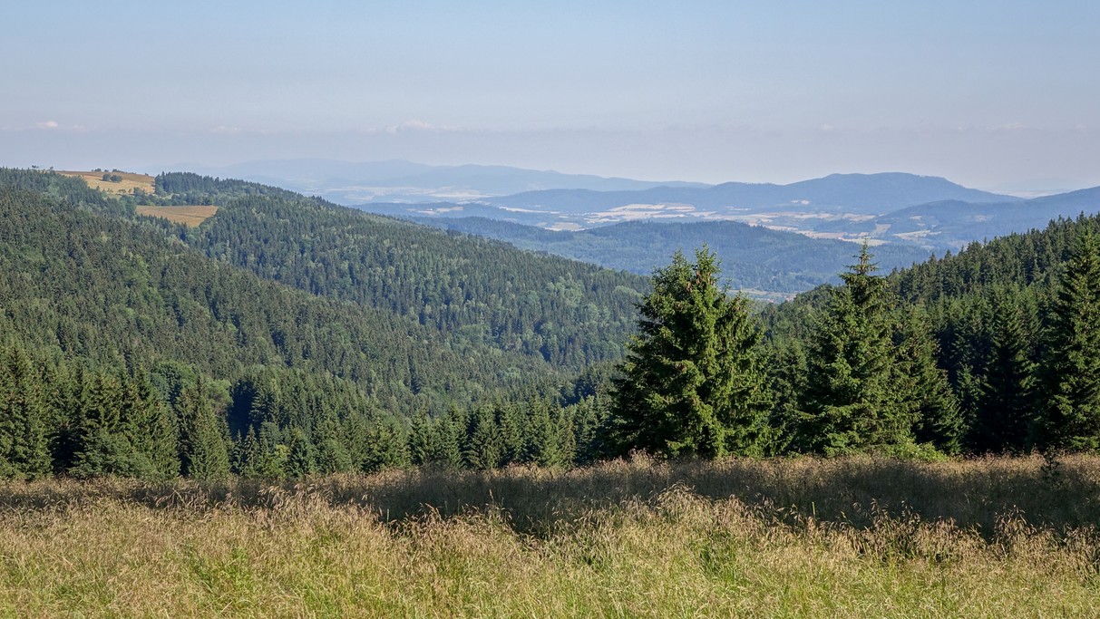 Maj w obiektywie - zdjęcie 6