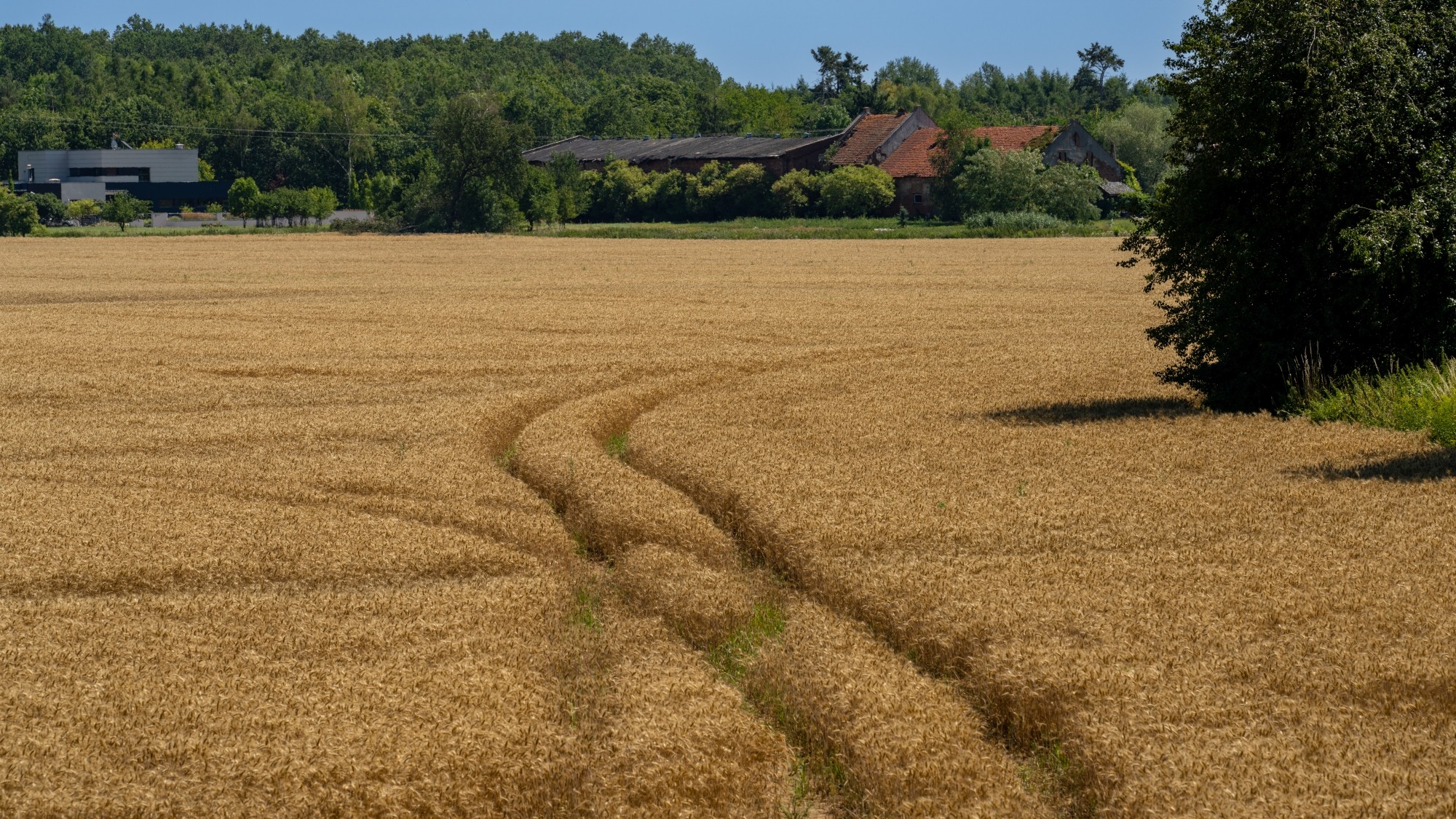 Kolory lata - zdjęcie 54