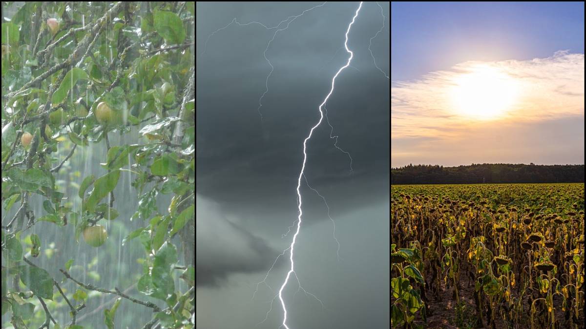 Burze znów opanują Polskę. Alert RCB dla większości województw