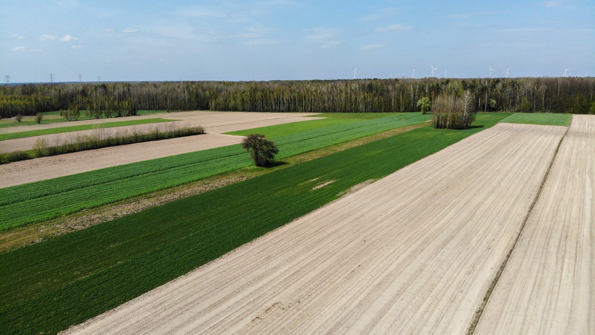 Wiosna w Polsce okiem drona - zdjęcie 44