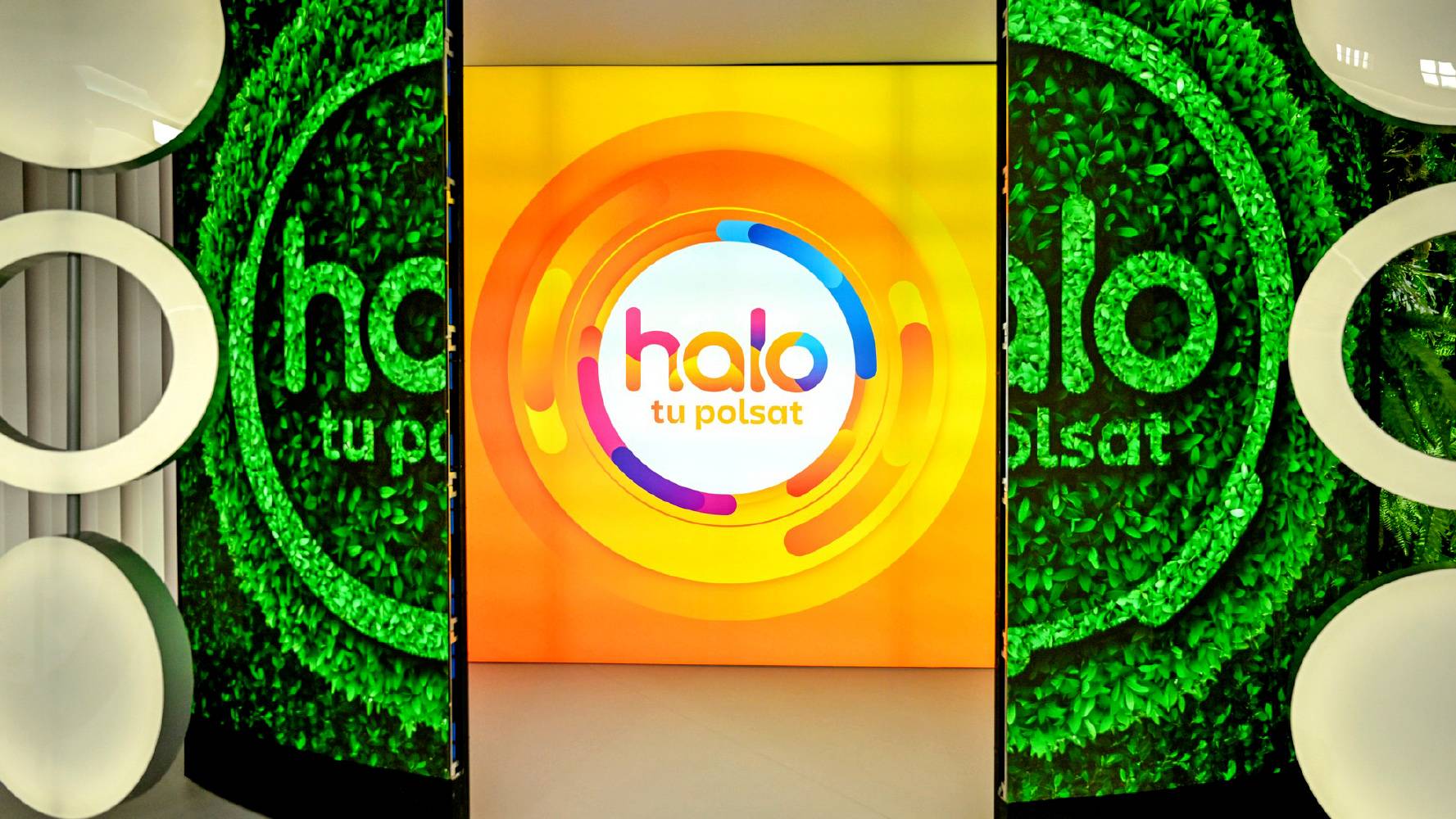 halo tu polsat nr 1 w Internecie! Wyniki Mediapanelu - Polsat.pl