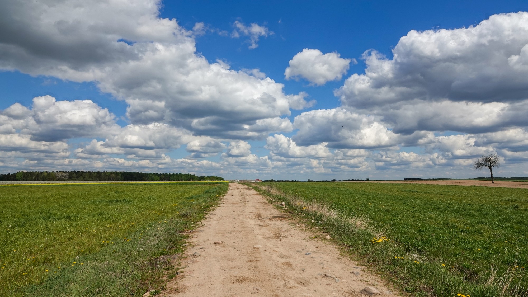 Kwiecień w obiektywie - zdjęcie 29