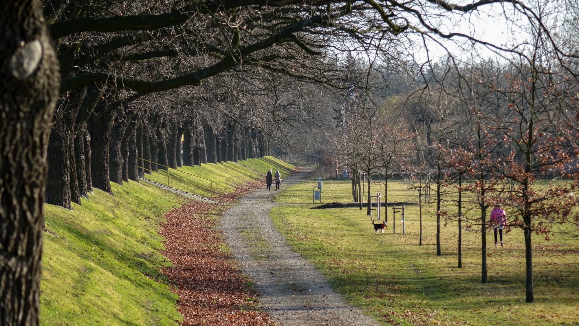 Najcieplejsza zima w historii - zdjęcie 27