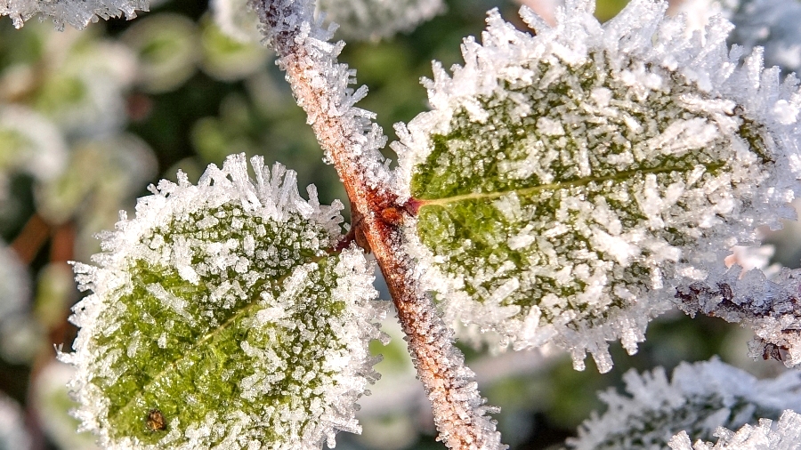 01.12.2018 10:00 23 stopnie mrozu o świcie, ale od zachodu wdziera się odwilż. Od jutra będzie dużo cieplej