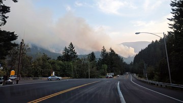 15-latek przyznał się do wywołania pożaru lasu. Musi zapłacić ponad 36 mln dol. odszkodowania