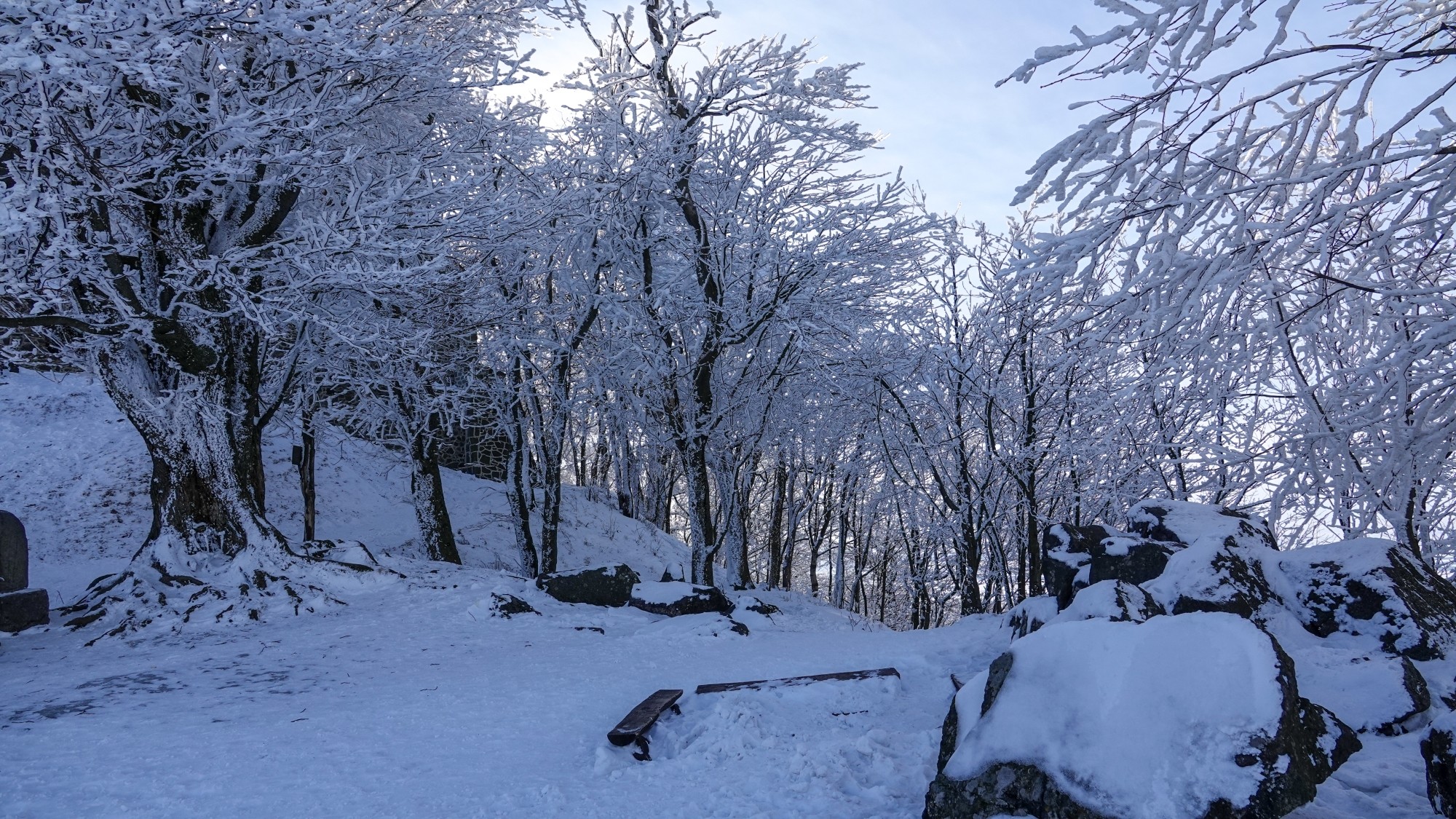 Kraina Narnii - zdjęcie 37