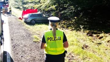 Zderzenie samochodu z łosiem. Nie żyje kierowca