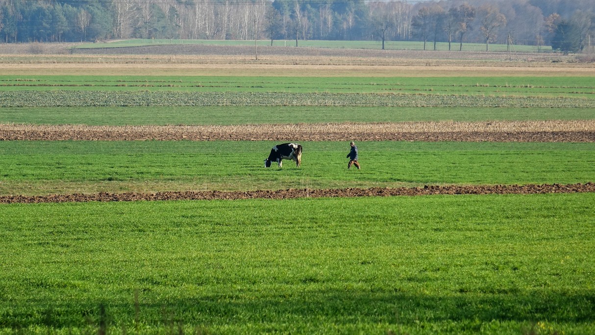 Listopad w obiektywie - zdjęcie 35