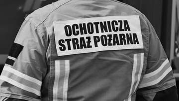 Śmierć strażaka po użądleniu szerszenia podczas akcji ratunkowej