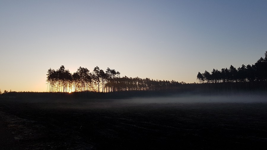 O świcie w lesie. Fot. Andrzej / TwojaPogoda.pl