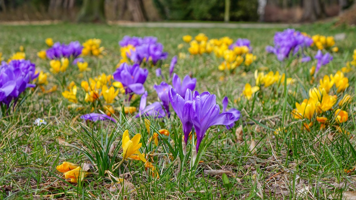 Kwiecień w obiektywie - zdjęcie 7