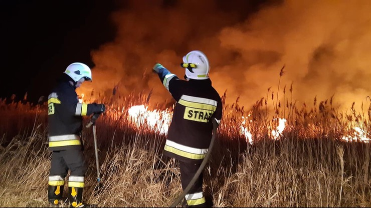 Strażacy walczą z koronawirusem, a podpalacze dodają im pracy. Spłonęło 90 hektarów rezerwatu