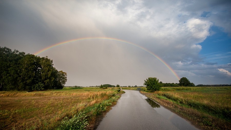 Tęcza w okolicach Piotrkowa Trybunalskiego w woj. łódzkim. Fot. Piotr Jadczyk / TwojaPogoda.pl