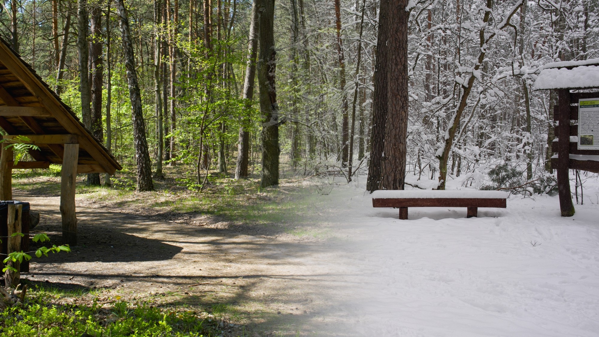 Porównanie wiosny i zimy - zdjęcie 11
