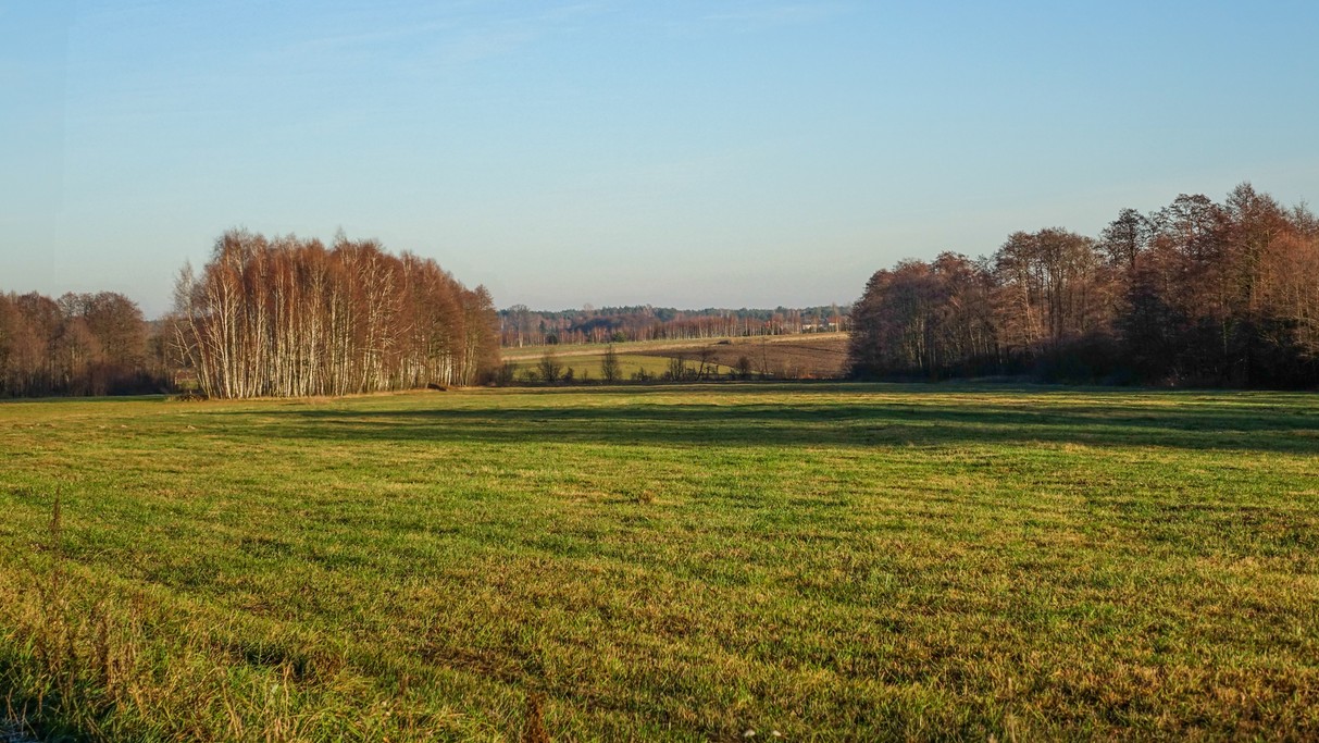 Listopad w obiektywie - zdjęcie 23