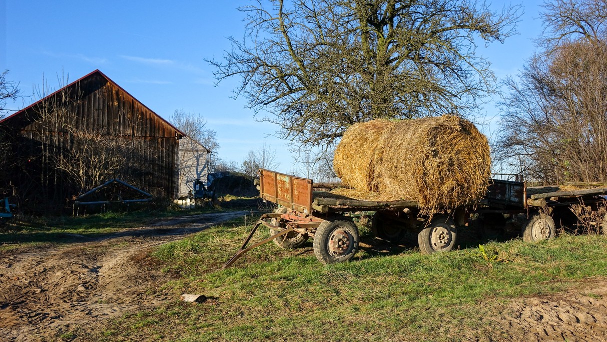 Listopad w obiektywie - zdjęcie 11