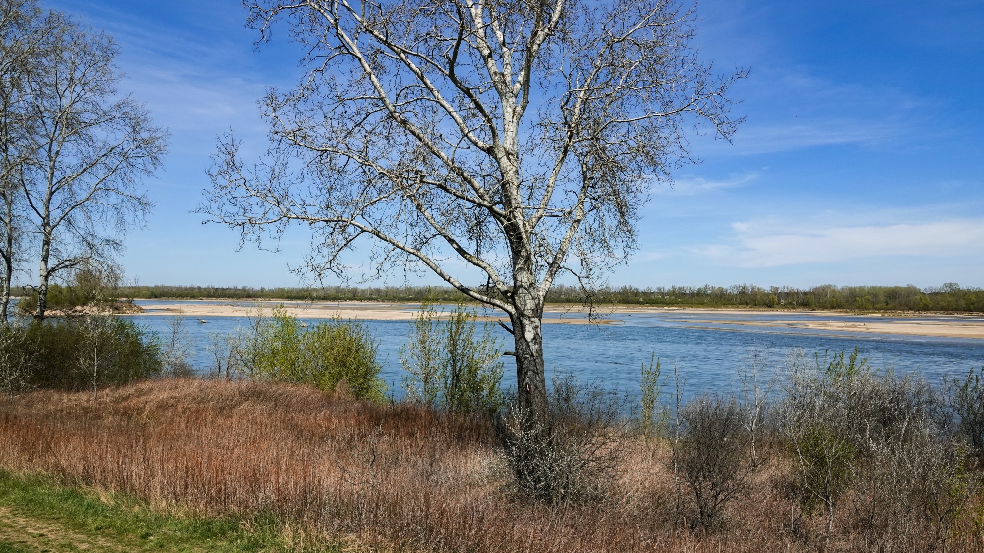 Kwiecień w obiektywie - zdjęcie 31