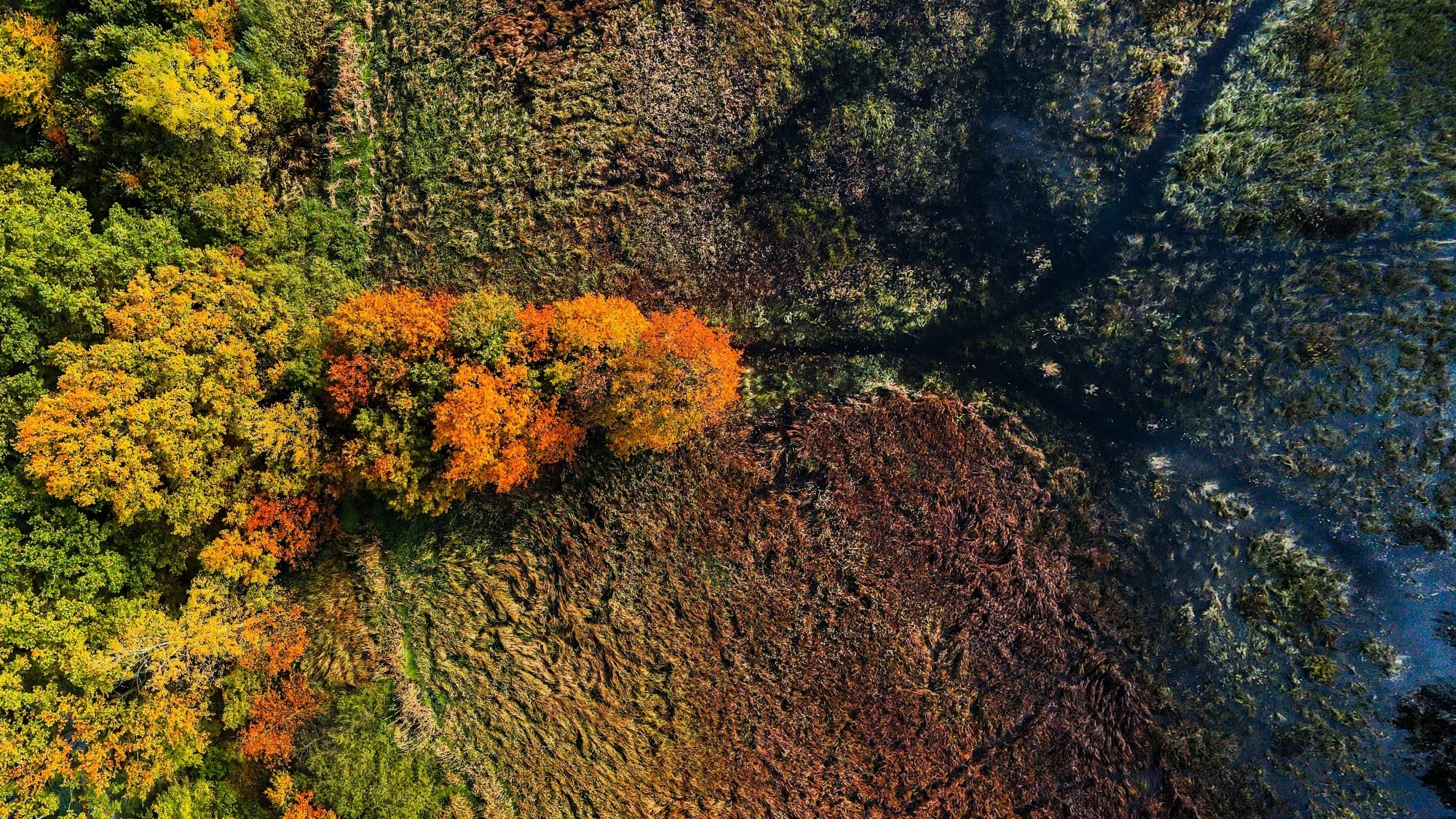Jesień w Polsce z lotu ptaka - zdjęcie 8