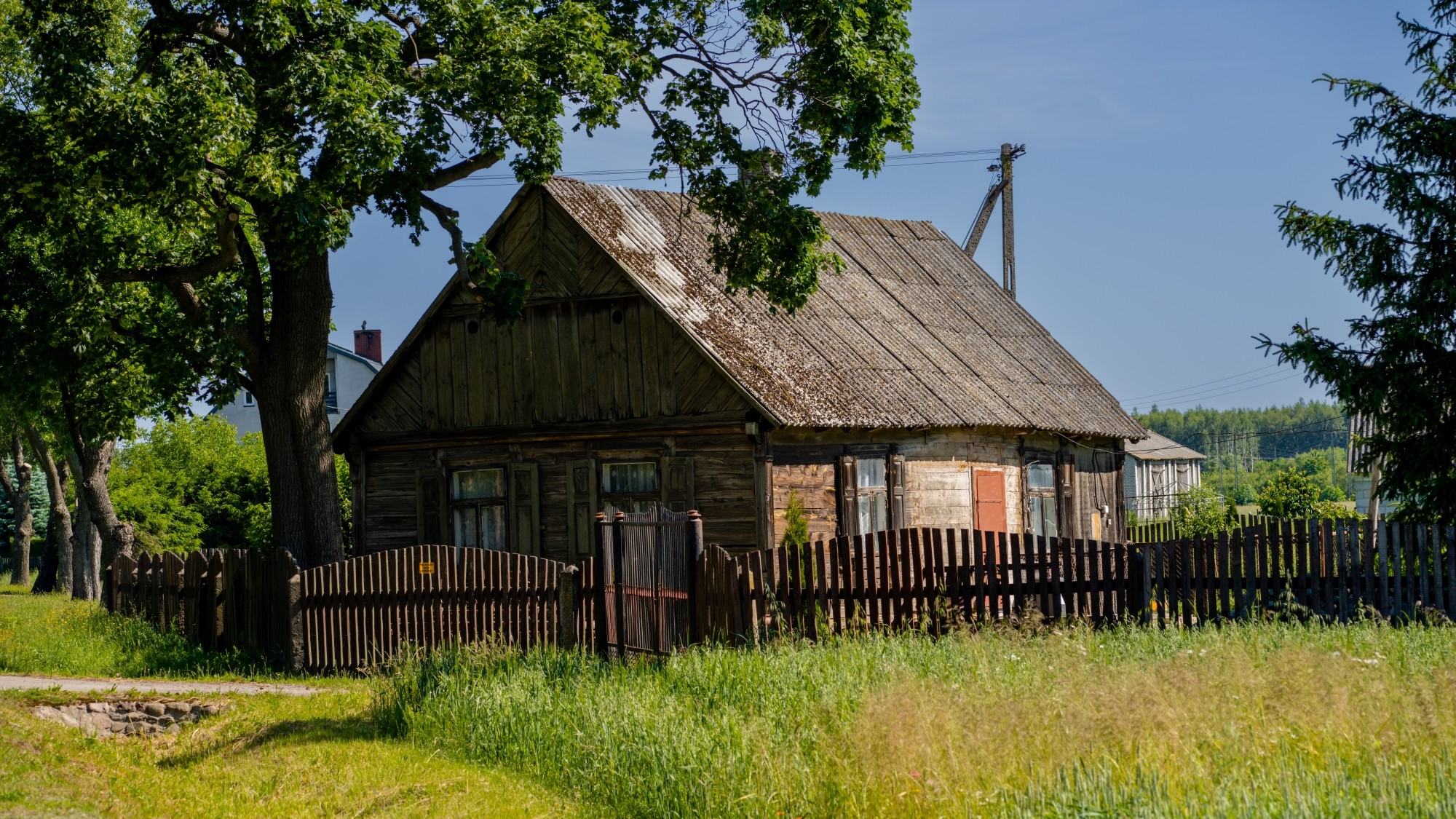 Kolory lata - zdjęcie 33