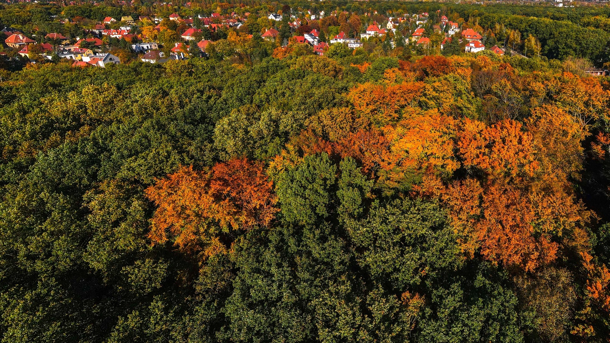 Jesień w Polsce z lotu ptaka - zdjęcie 31