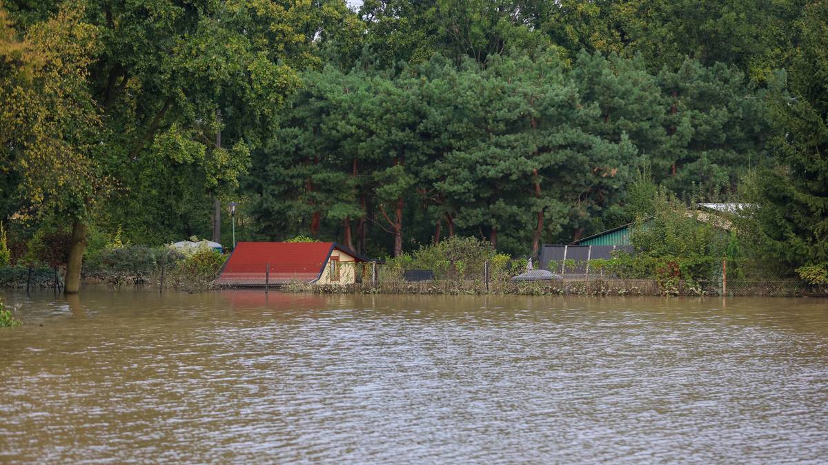 Lasy Państwowe apelują. "Warunki są bardzo ciężkie"