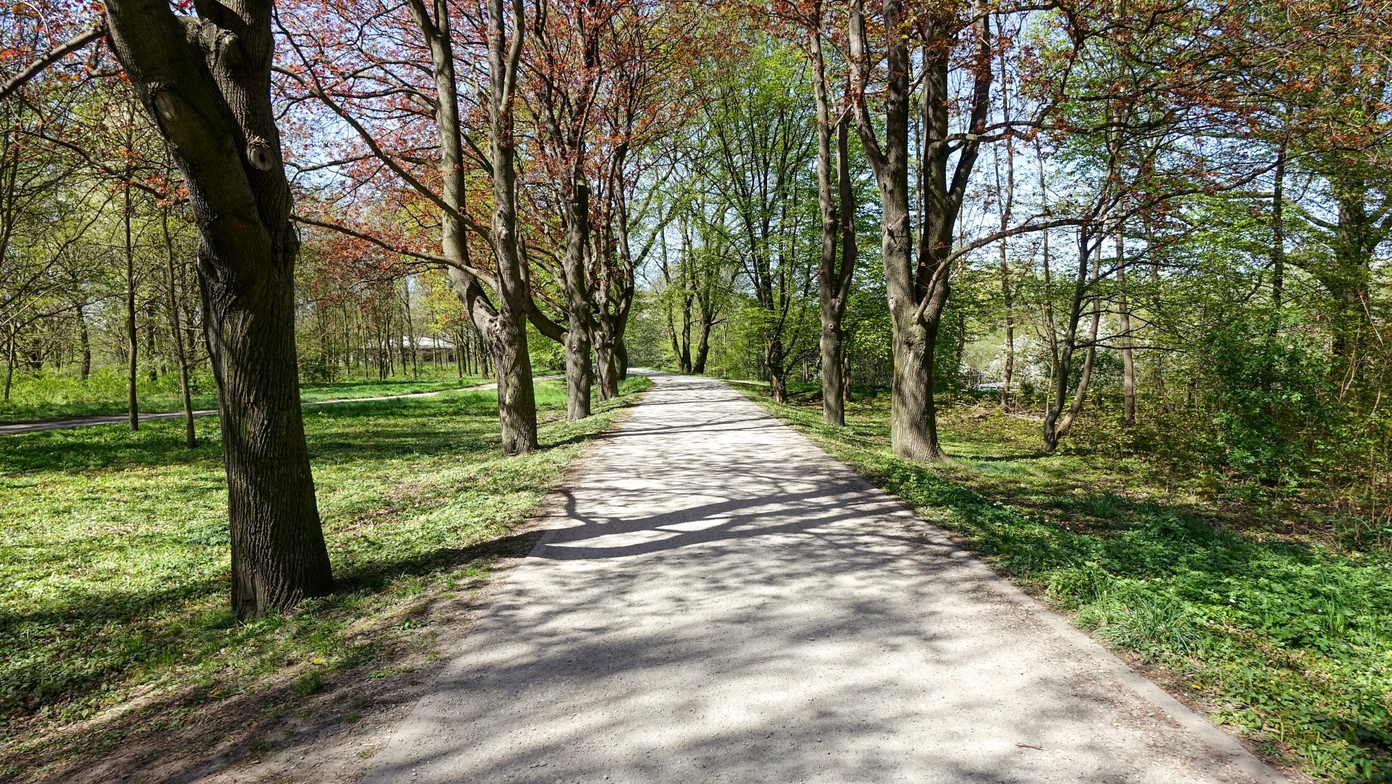 Kwiecień w obiektywie - zdjęcie 26