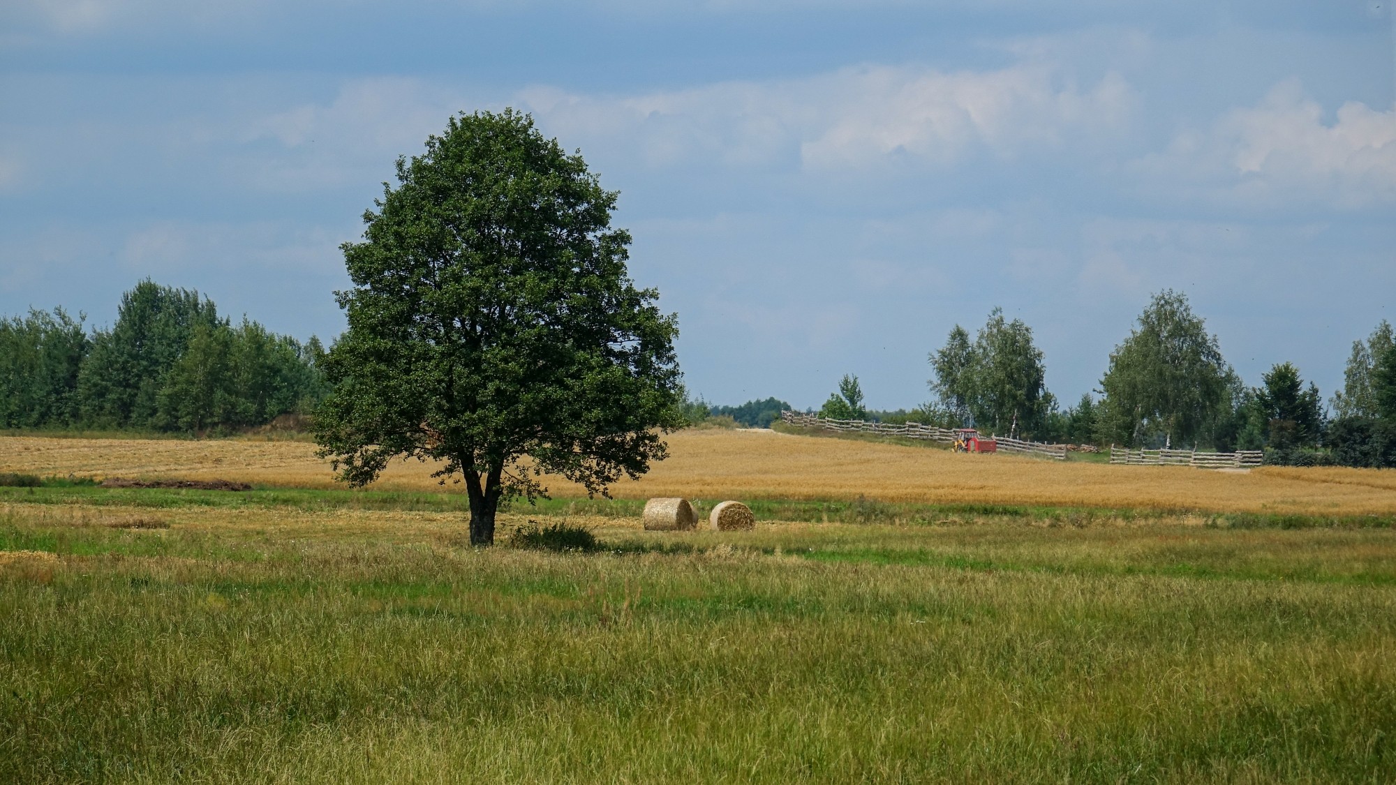 Sierpień w obiektywie - zdjęcie 13