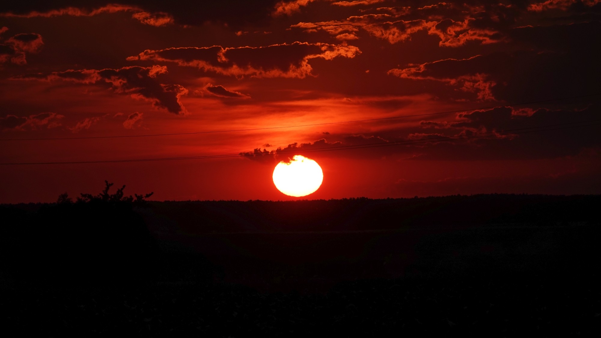 Środek lata w plenerze - zdjęcie 43