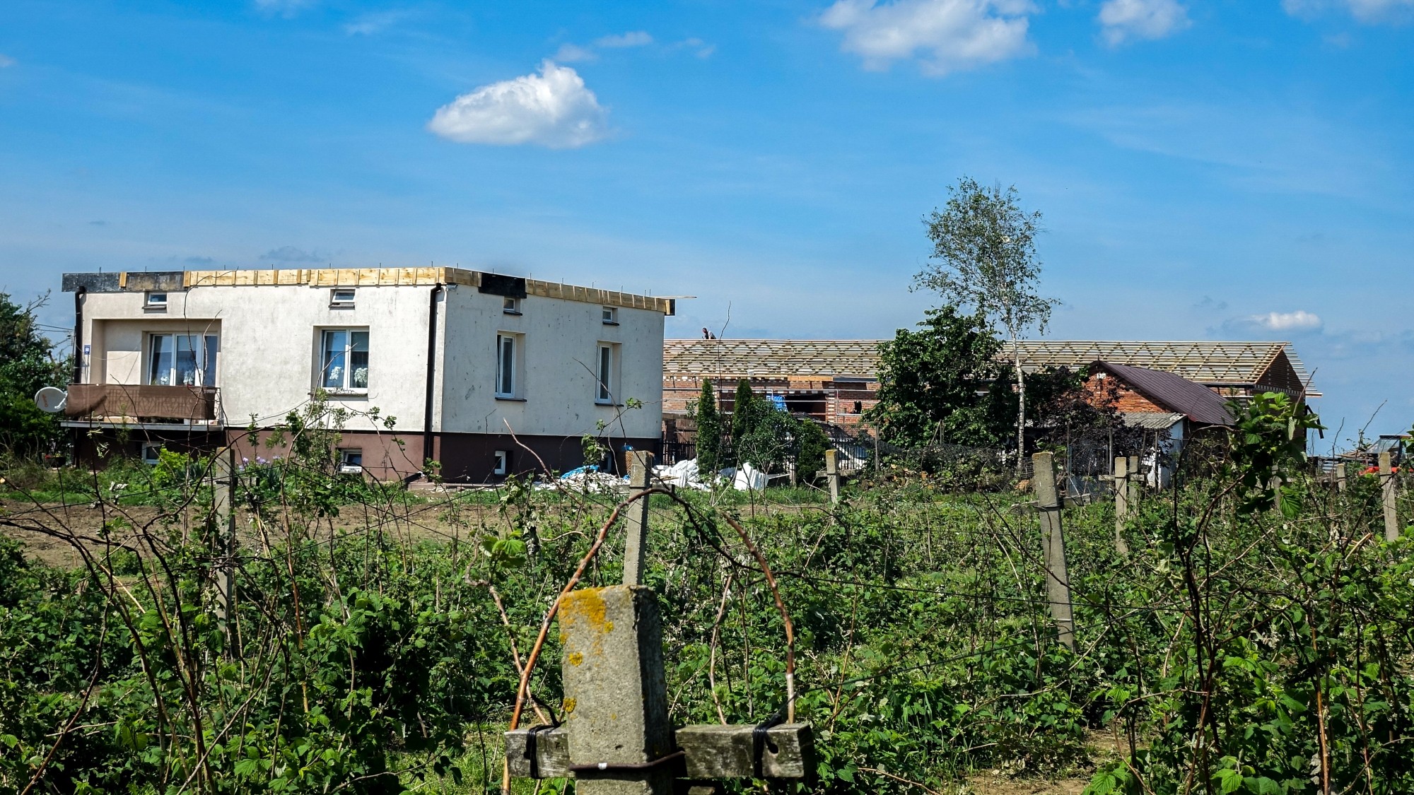 Tornado na Lubelszczyźnie - zdjęcie 18