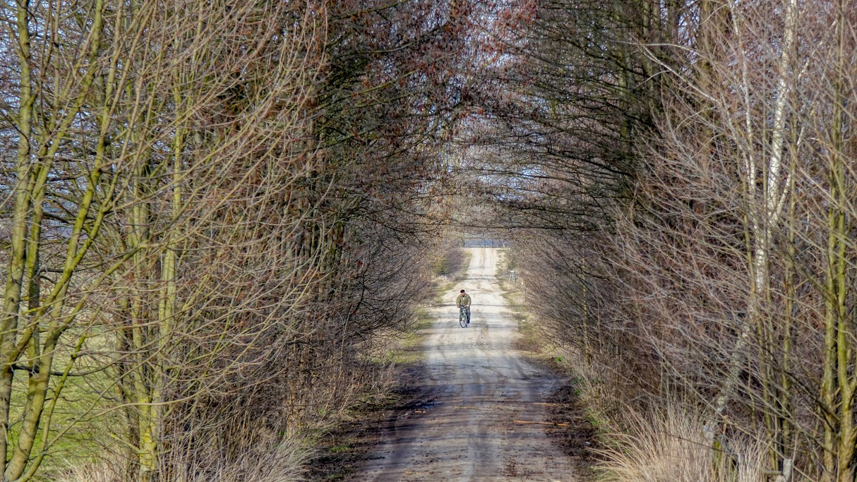 Marzec w obiektywie - zdjęcie 41