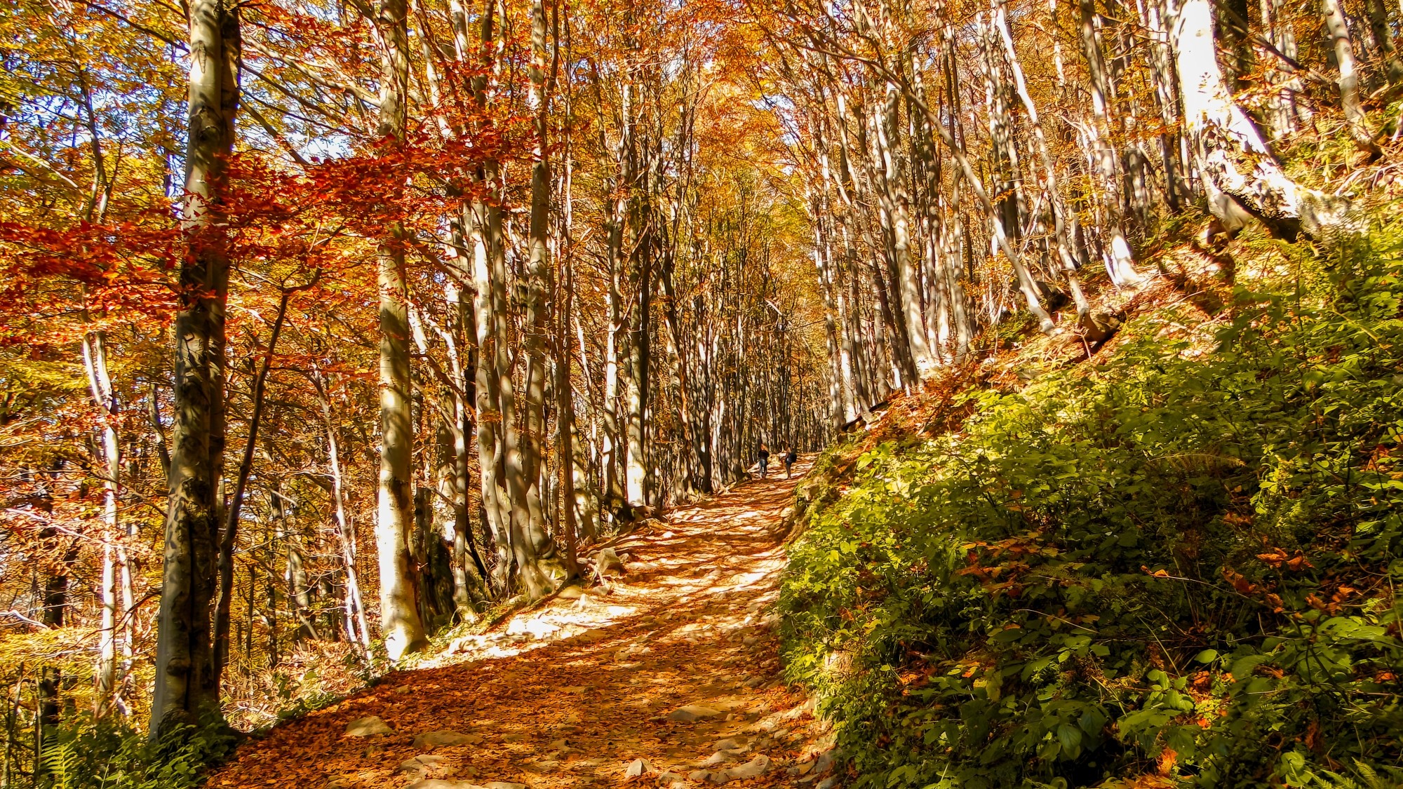 Polska jesienią - zdjęcie 38