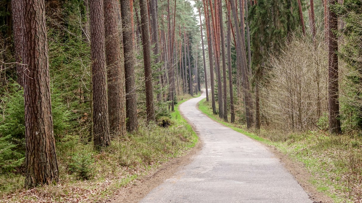 Powiewy wiosny - zdjęcie 6