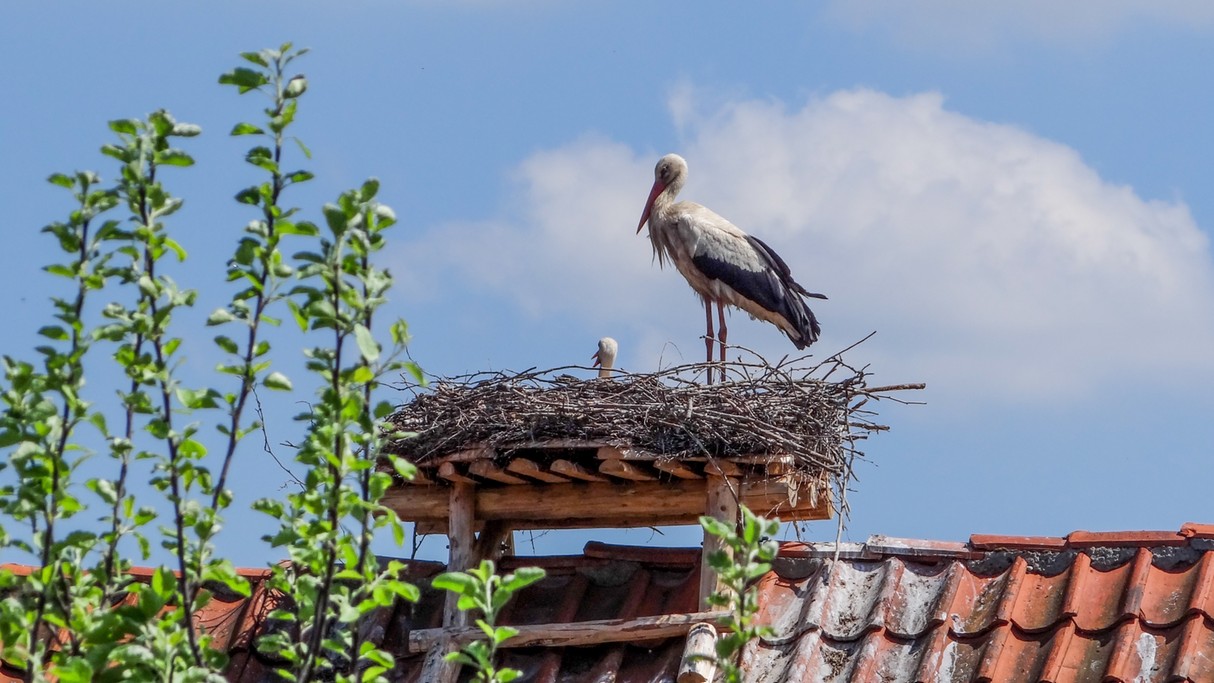 Zakochaj się w Polsce - zdjęcie 14