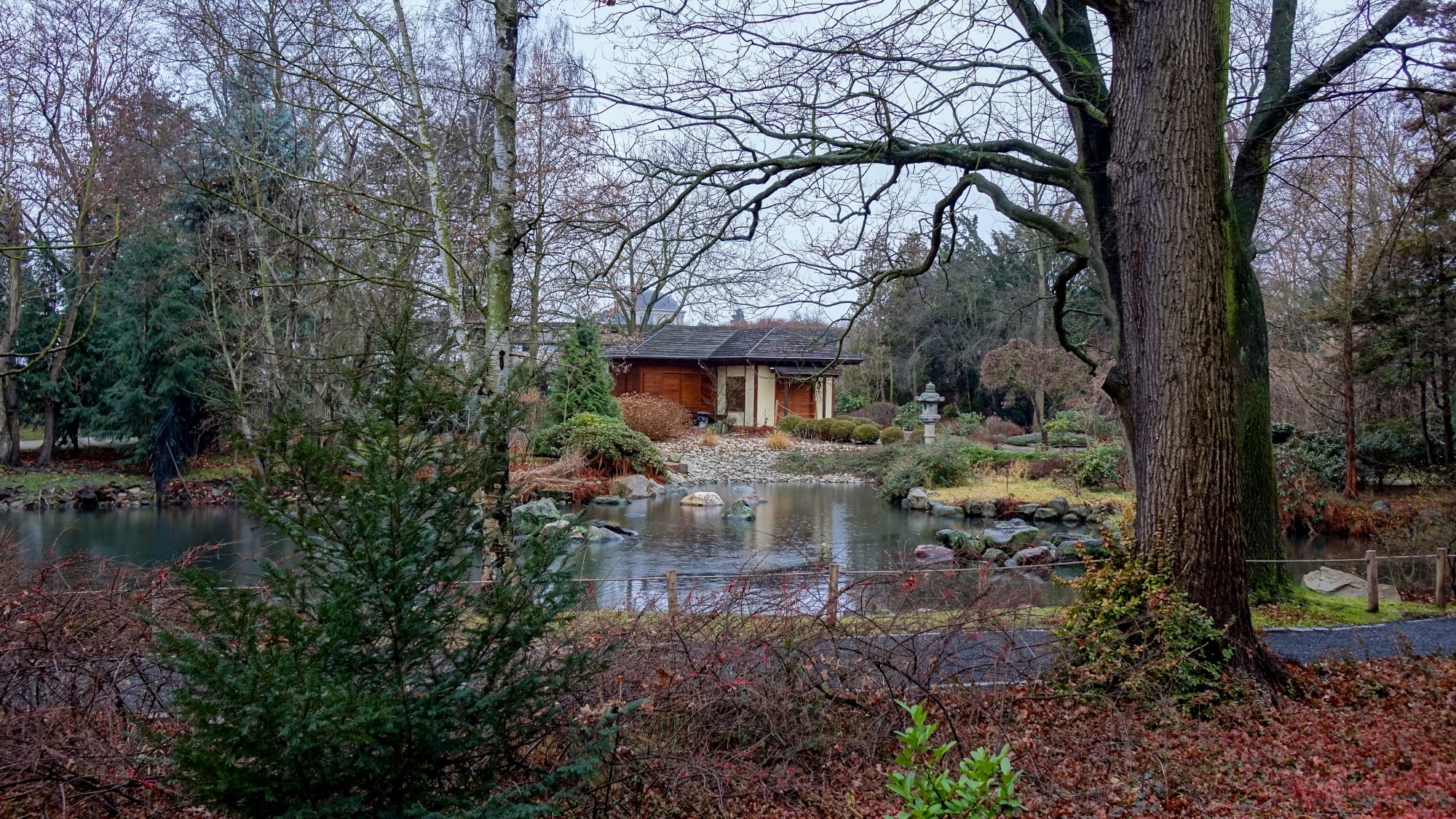 Najcieplejsza zima w historii - zdjęcie 14