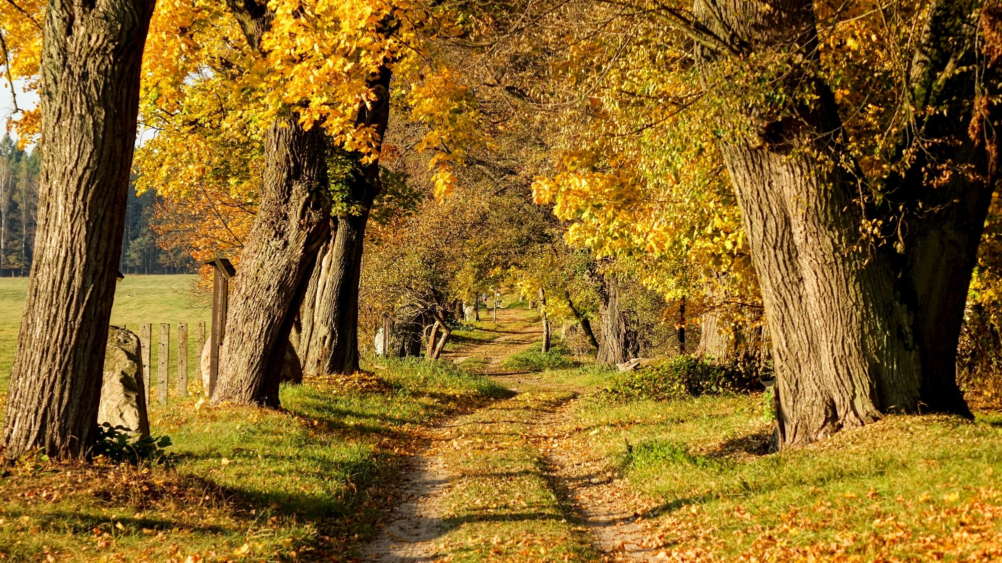 Jesień w górach, lasach i nad jeziorami - zdjęcie 13