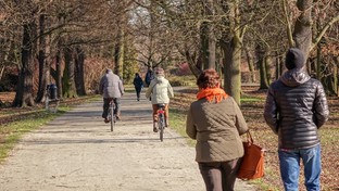 01.02.2020 09:00 Wiosenne temperatury w pierwszym dniu lutego. Termometry pokazały nawet 15 stopni